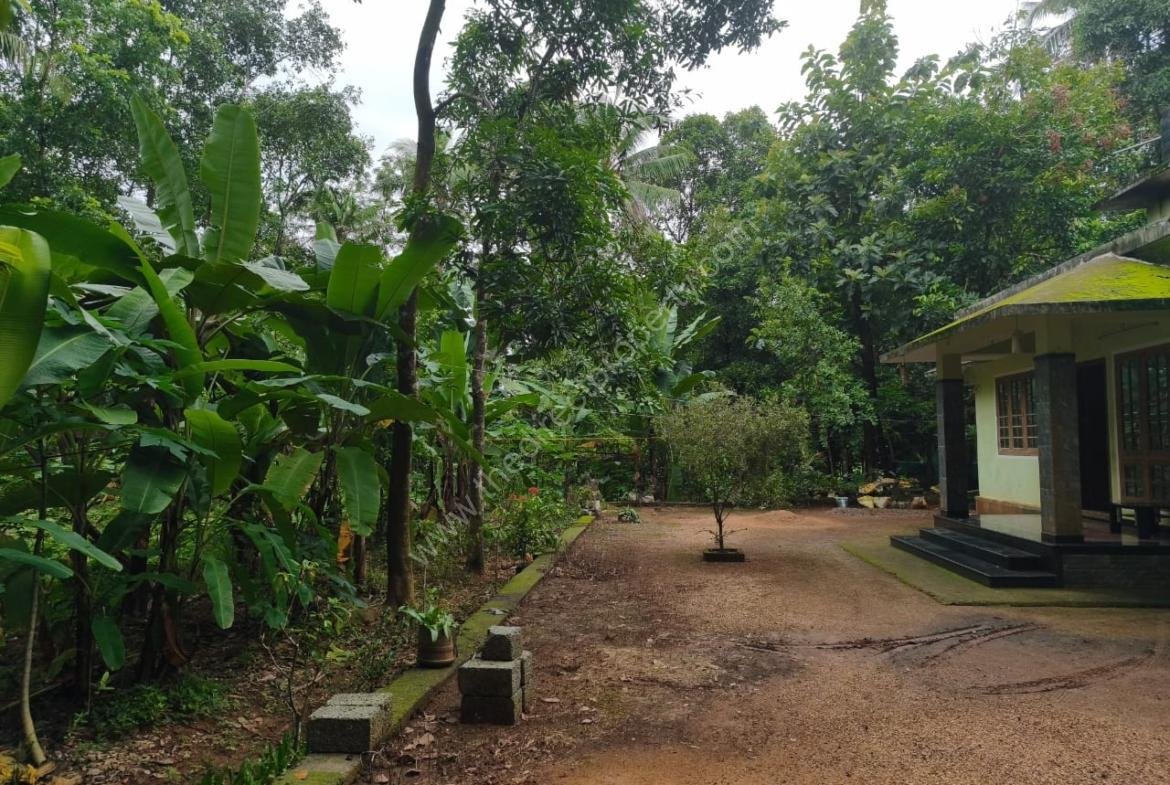 1 Acre land with 3bhk house for sale
