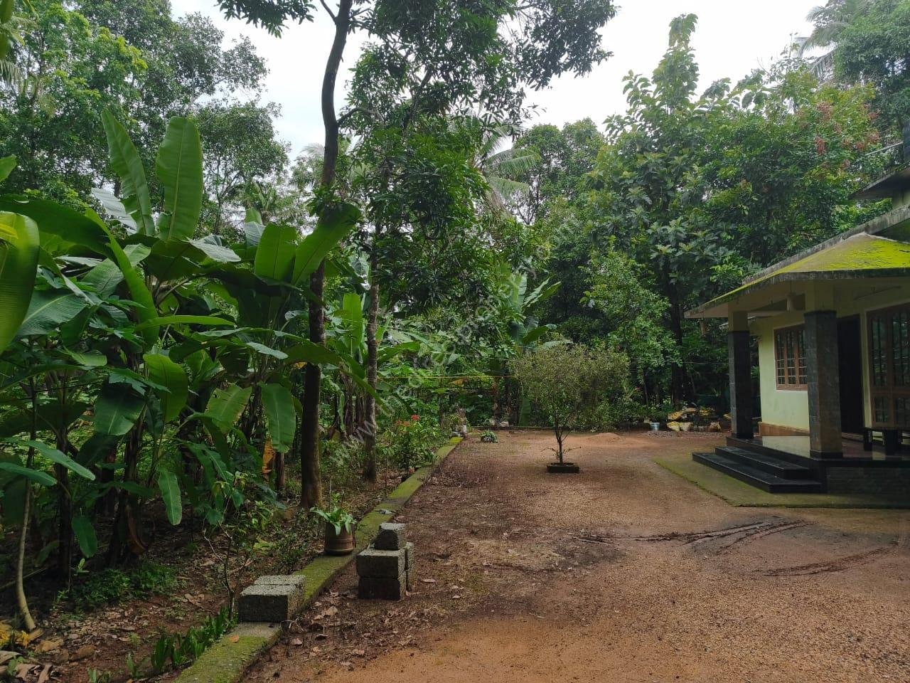 WhatsApp Image 542026-06-11 at 12.58.16 PM 1 Acre land with 3bhk house for sale