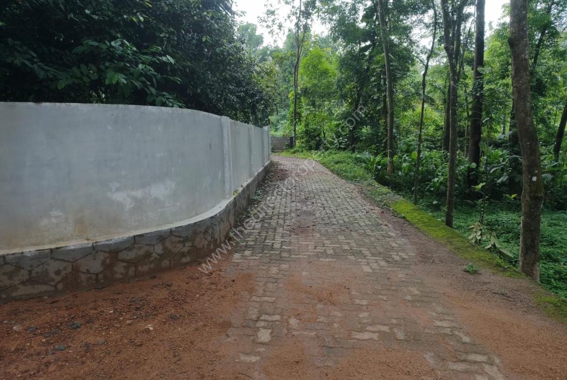 1 Acre land with 3bhk house for sale