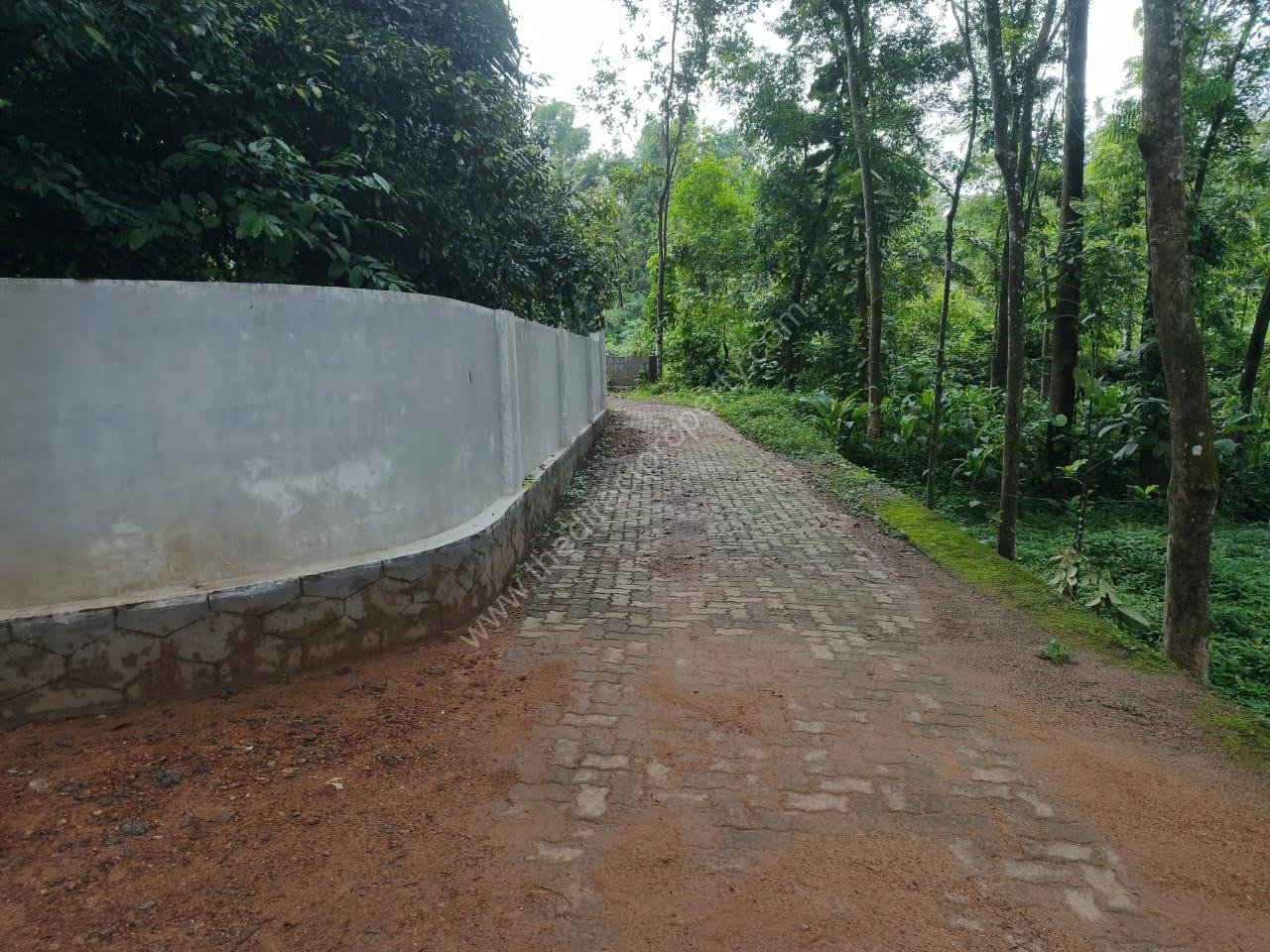 WhatsApp Imagei 2026-06-11 at 12.58.15 PM 1 Acre land with 3bhk house for sale