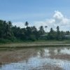 plot for sale near Varkala