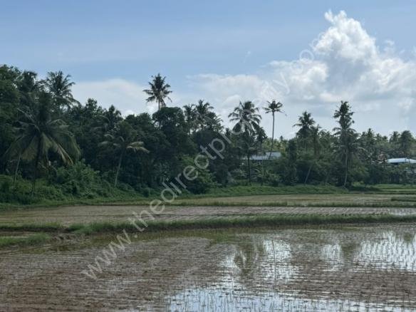 plot for sale near Varkala