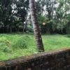 Land for sale Kollam Chavara