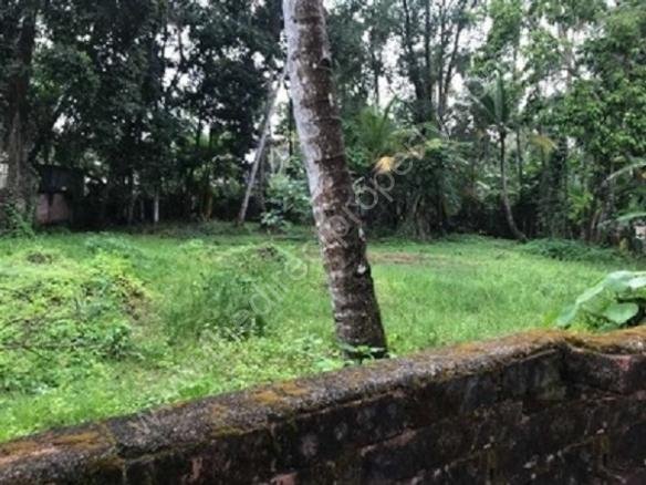 Land for sale Kollam Chavara