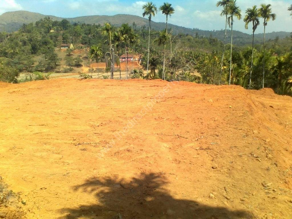 One acre Property for sale in Waynad