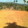 Varinilam Road, Thrisilery, Mananthavady Taluk, Wayanad