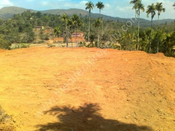 Varinilam Road, Thrisilery, Mananthavady Taluk, Wayanad