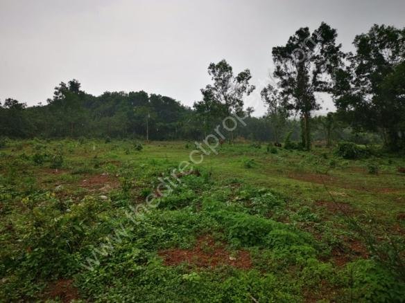 Plot for sale in Pariyaram, Kannur