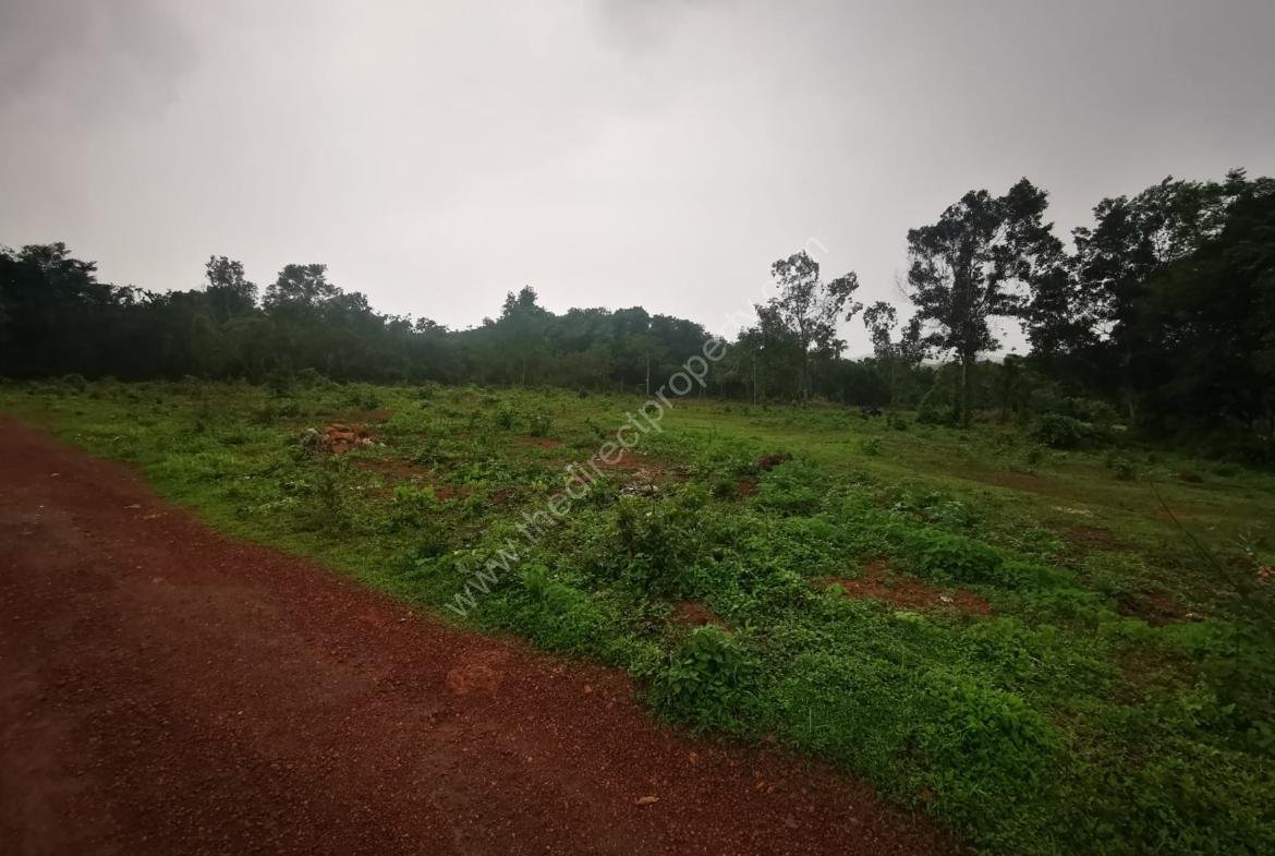 Plot for sale in Pariyaram, Kannur