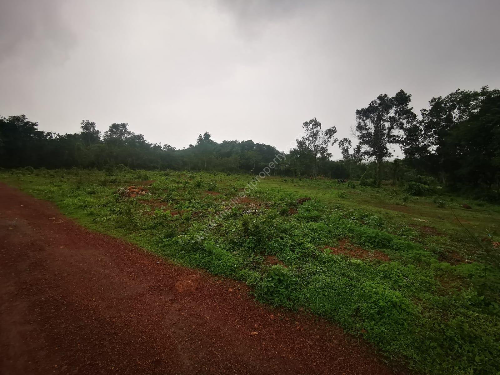 image 3 Plot for sale in Pariyaram, Kannur