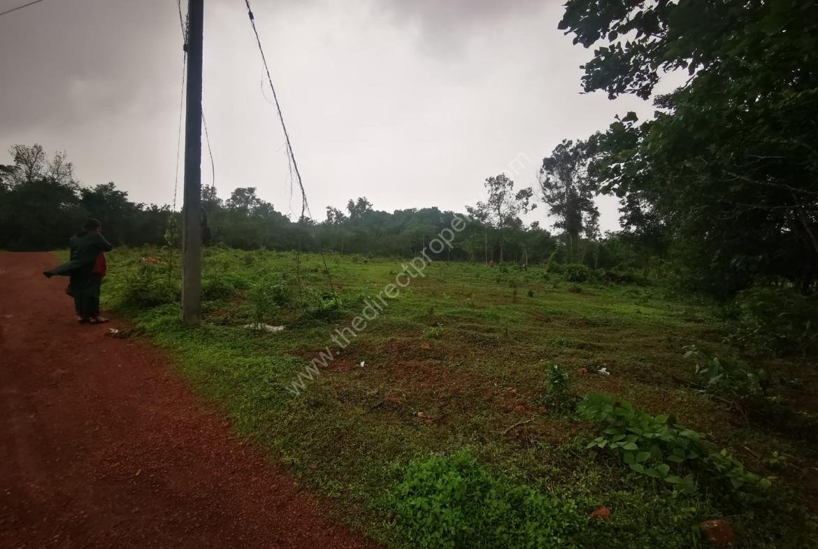 Plot for sale in Pariyaram, Kannur