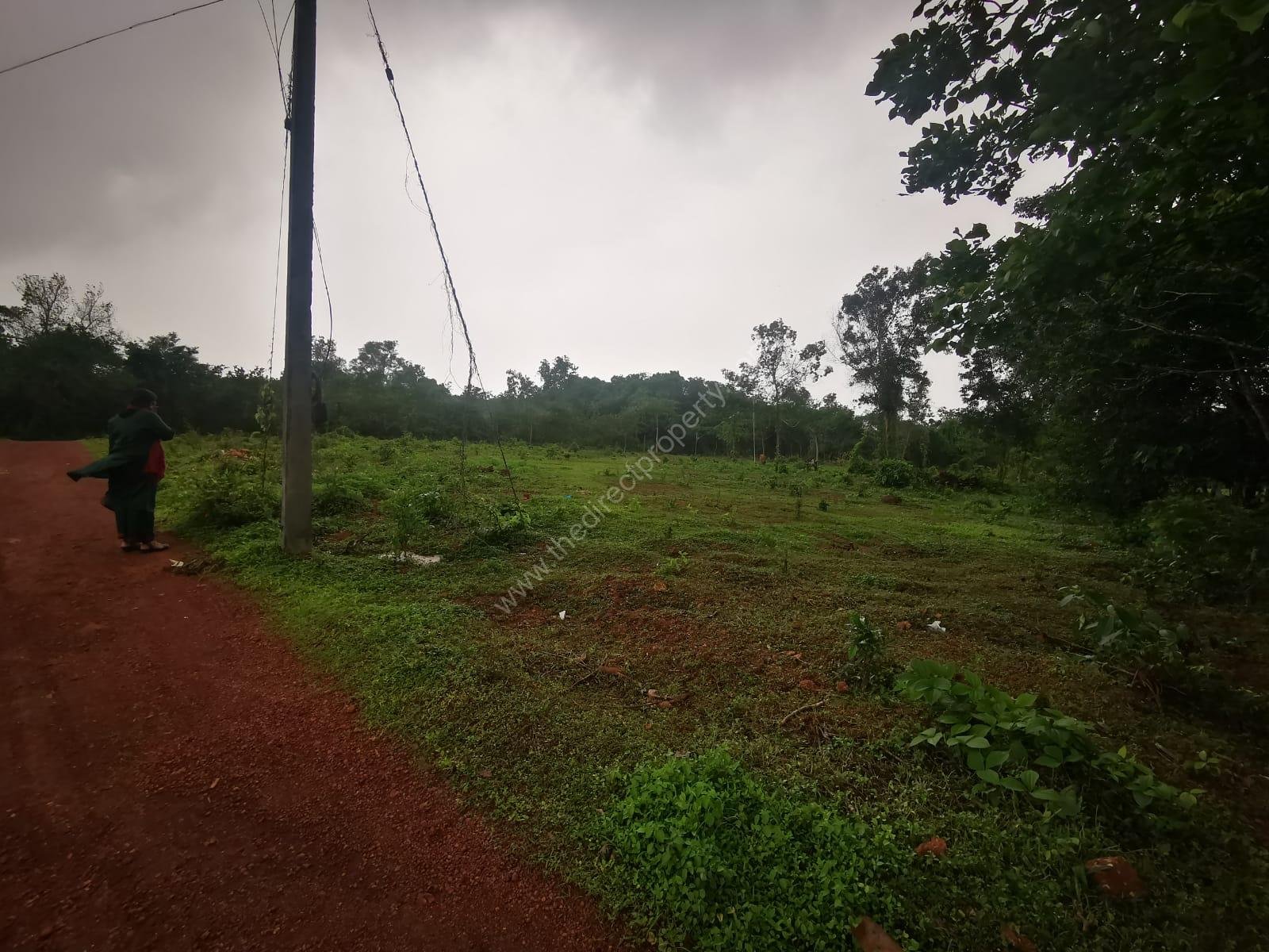 image 4 Plot for sale in Pariyaram, Kannur