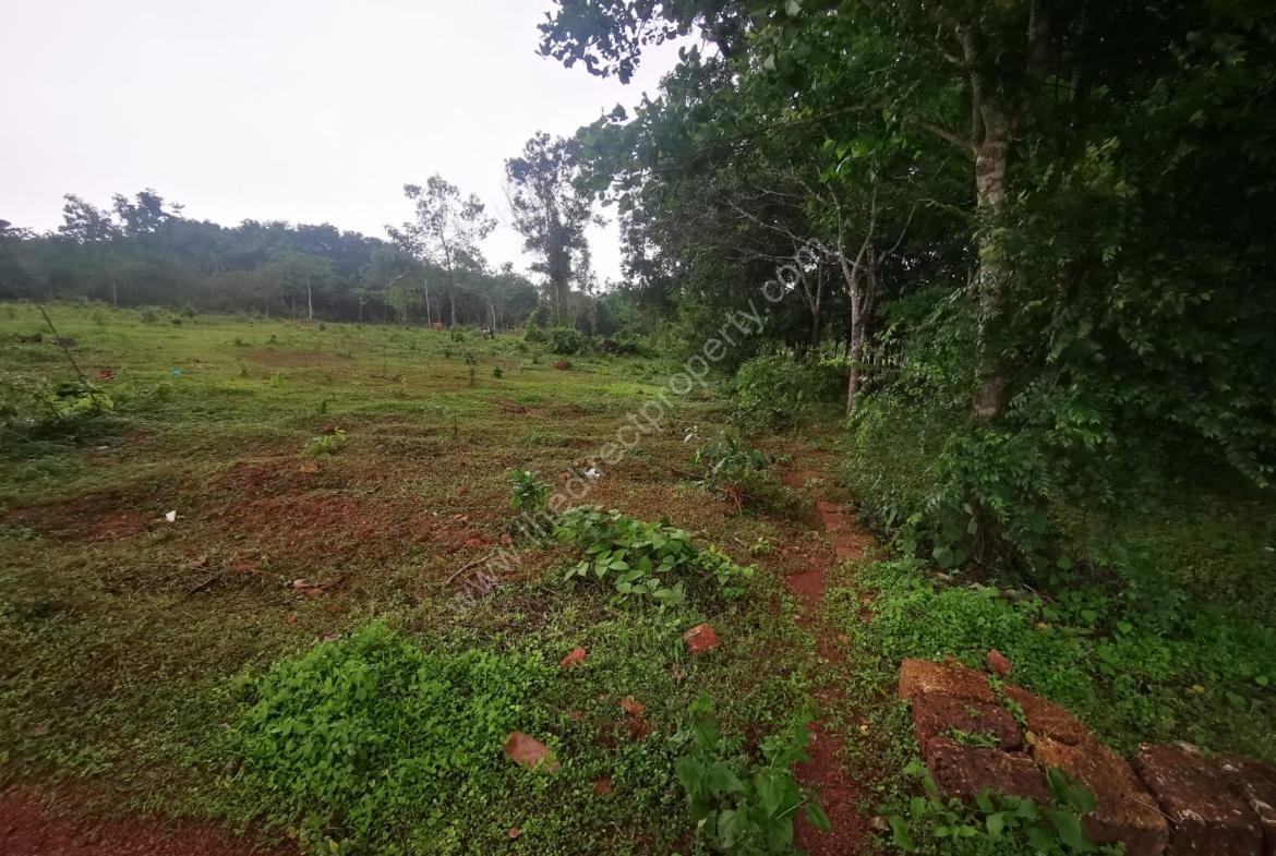 Plot for sale in Pariyaram, Kannur