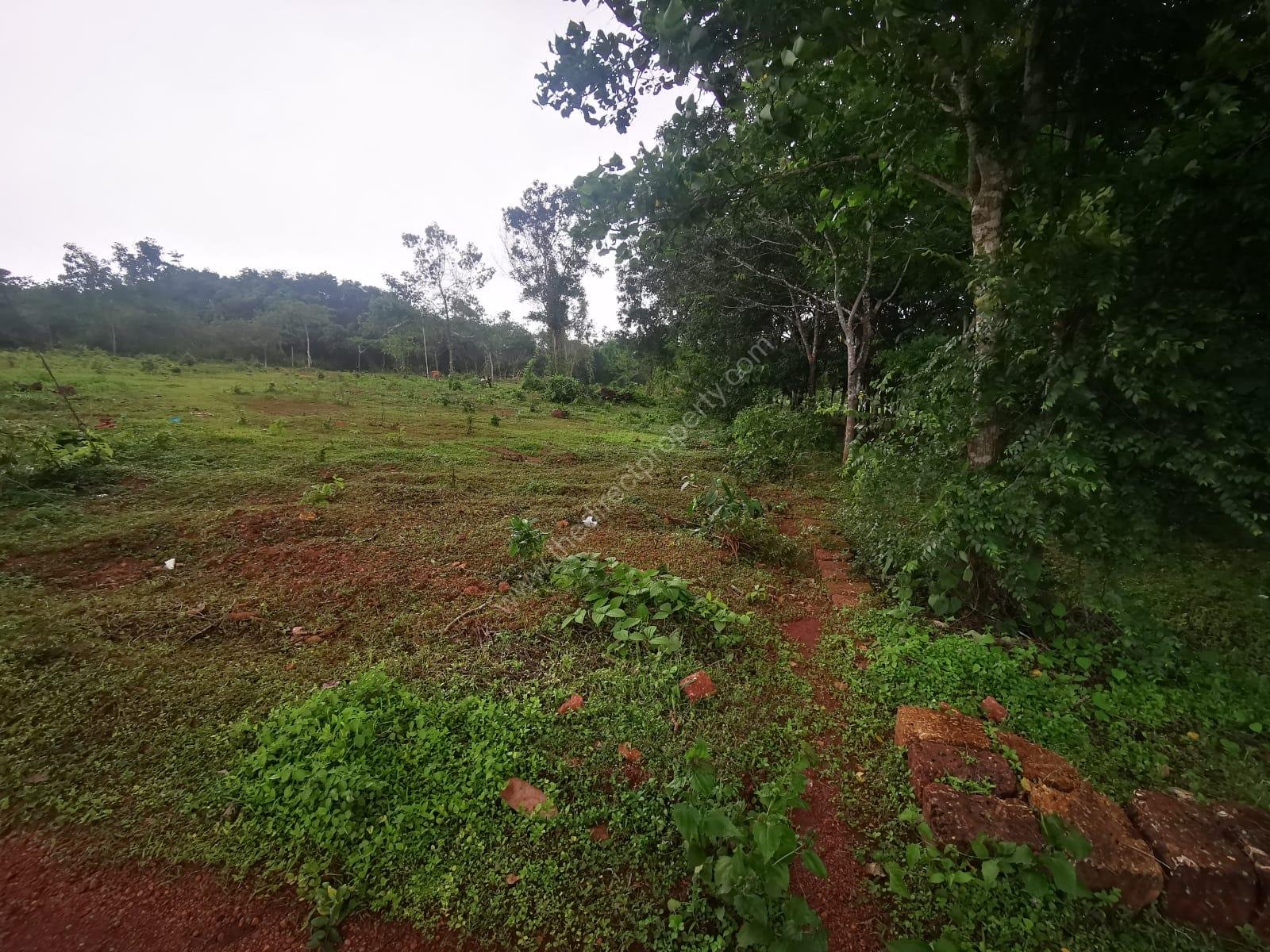 image 5 Plot for sale in Pariyaram, Kannur