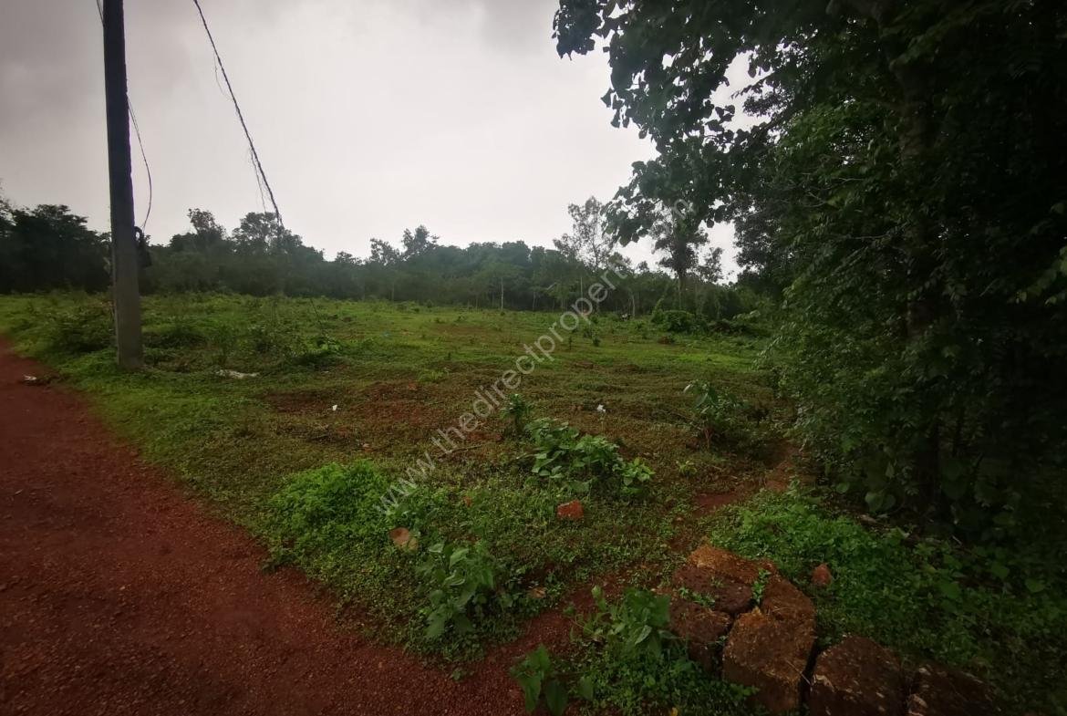 Plot for sale in Pariyaram, Kannur