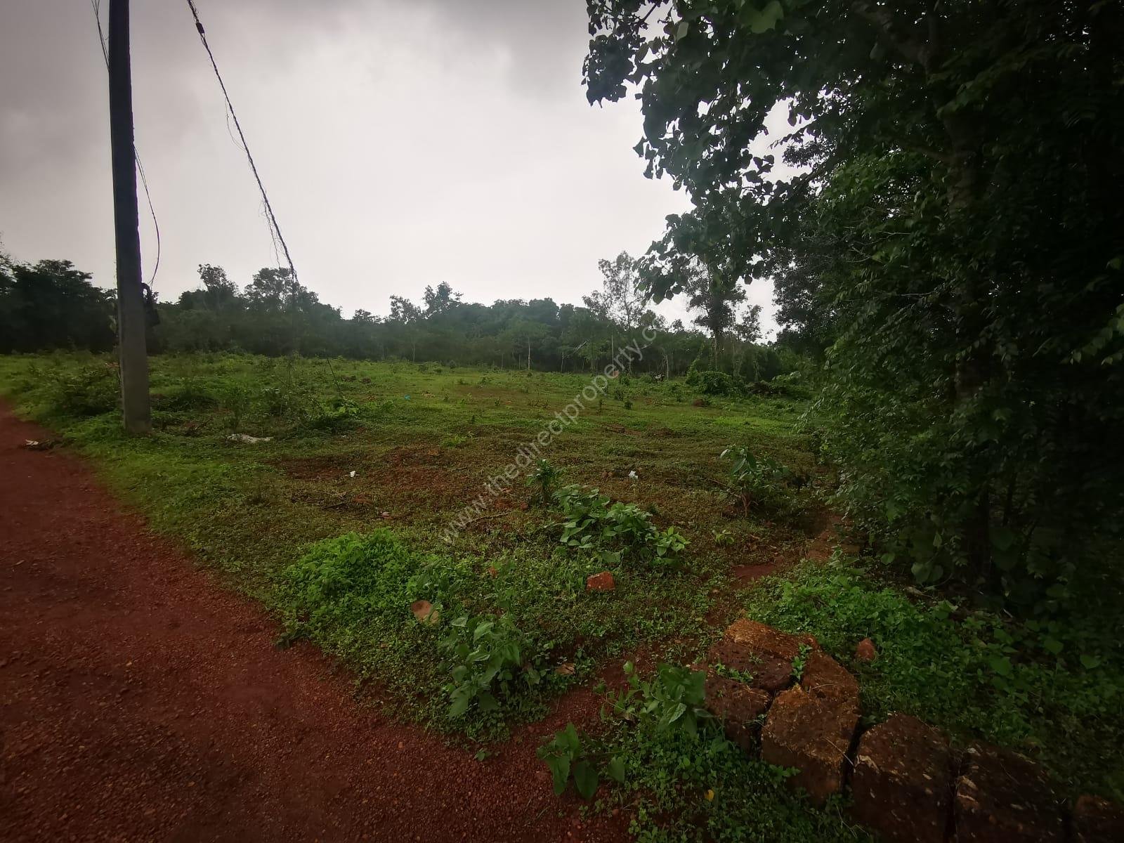 Plot for sale in Pariyaram, Kannur