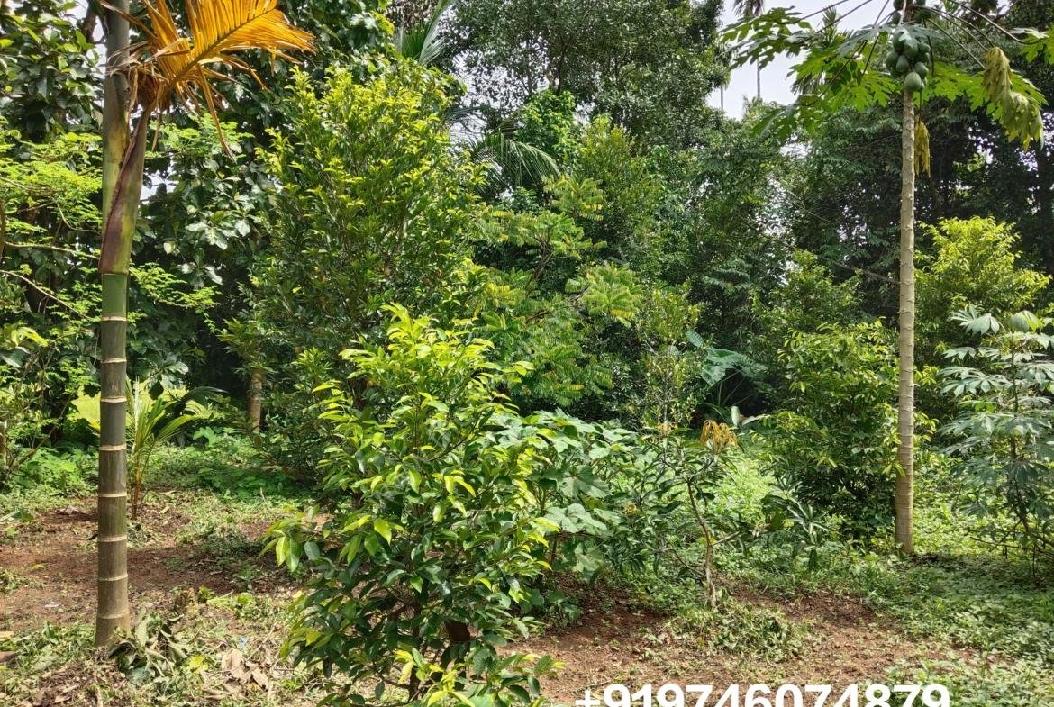 Land with 3 bhk house for sale in Ramamangalam