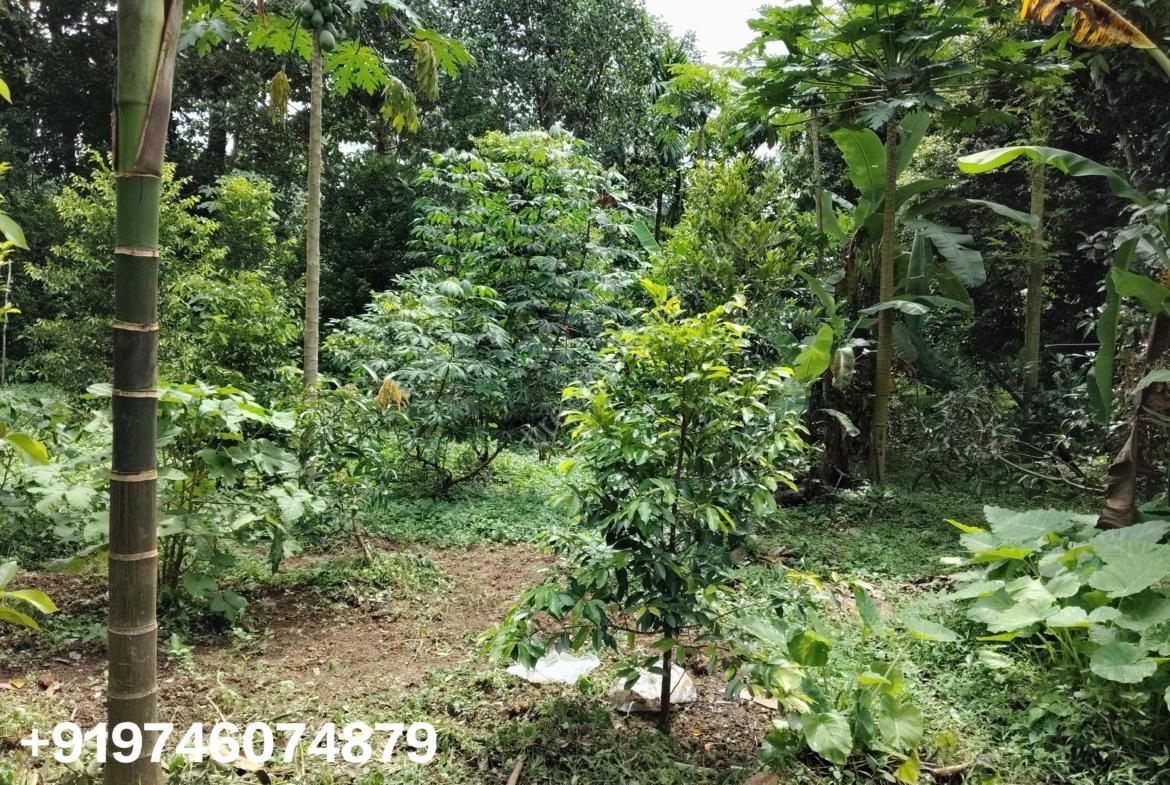 Land with 3 bhk house for sale in Ramamangalam