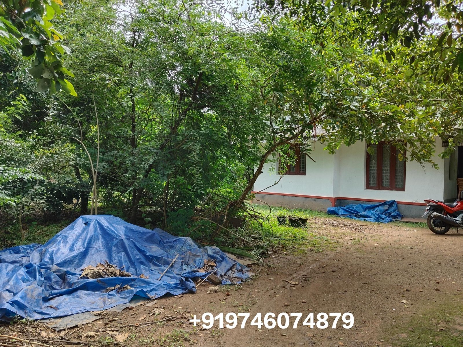 1000152624 Land with 3 bhk house for sale in Ramamangalam