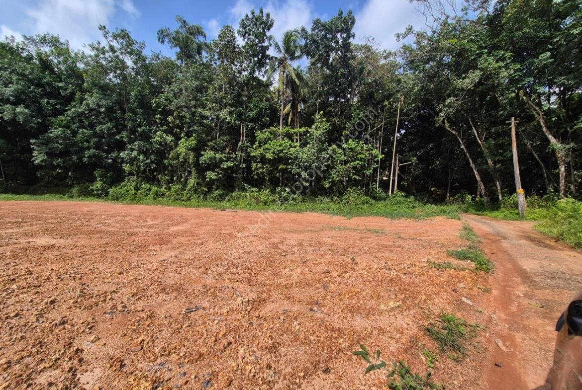 Prime Roadside Land for Sale in Choorakode, Adoor