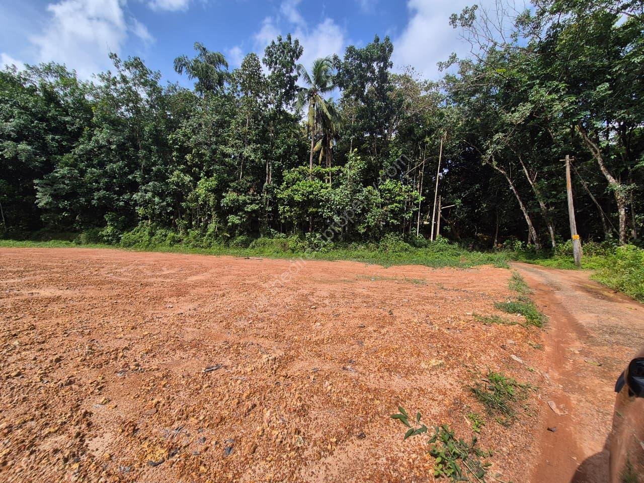 131390 Prime Roadside Land for Sale in Choorakode, Adoor