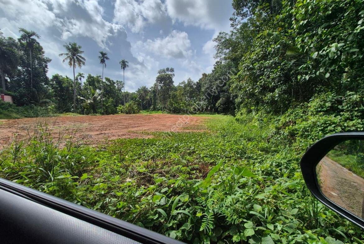 Prime Roadside Land for Sale in Choorakode, Adoor