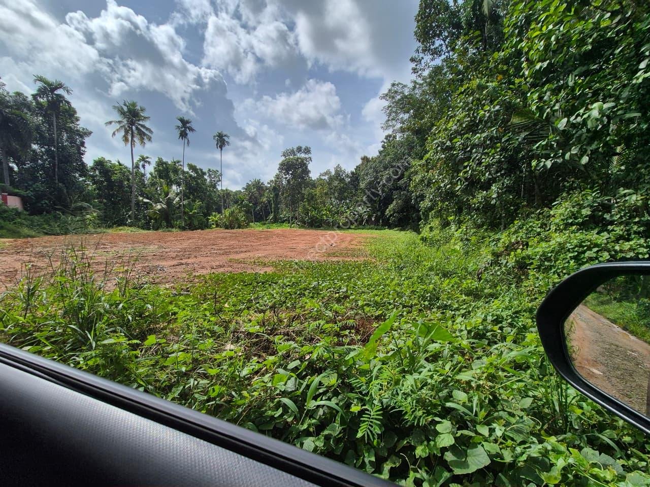 Prime Roadside Land for Sale in Choorakode, Adoor