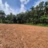 Land for Sale in Choorakode