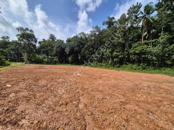 Land for Sale in Choorakode