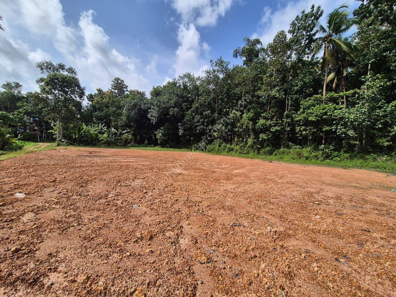 Land for Sale in Choorakode