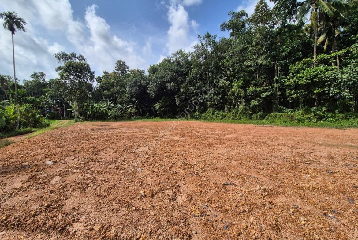 Prime Roadside Land for Sale in Choorakode, Adoor