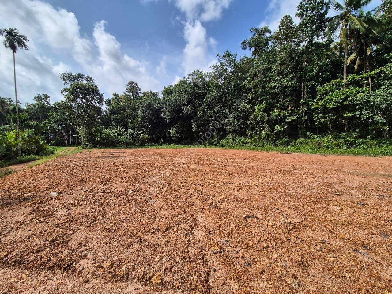 Prime Roadside Land for Sale in Choorakode, Adoor