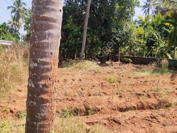 Plot for sale at Perambra
