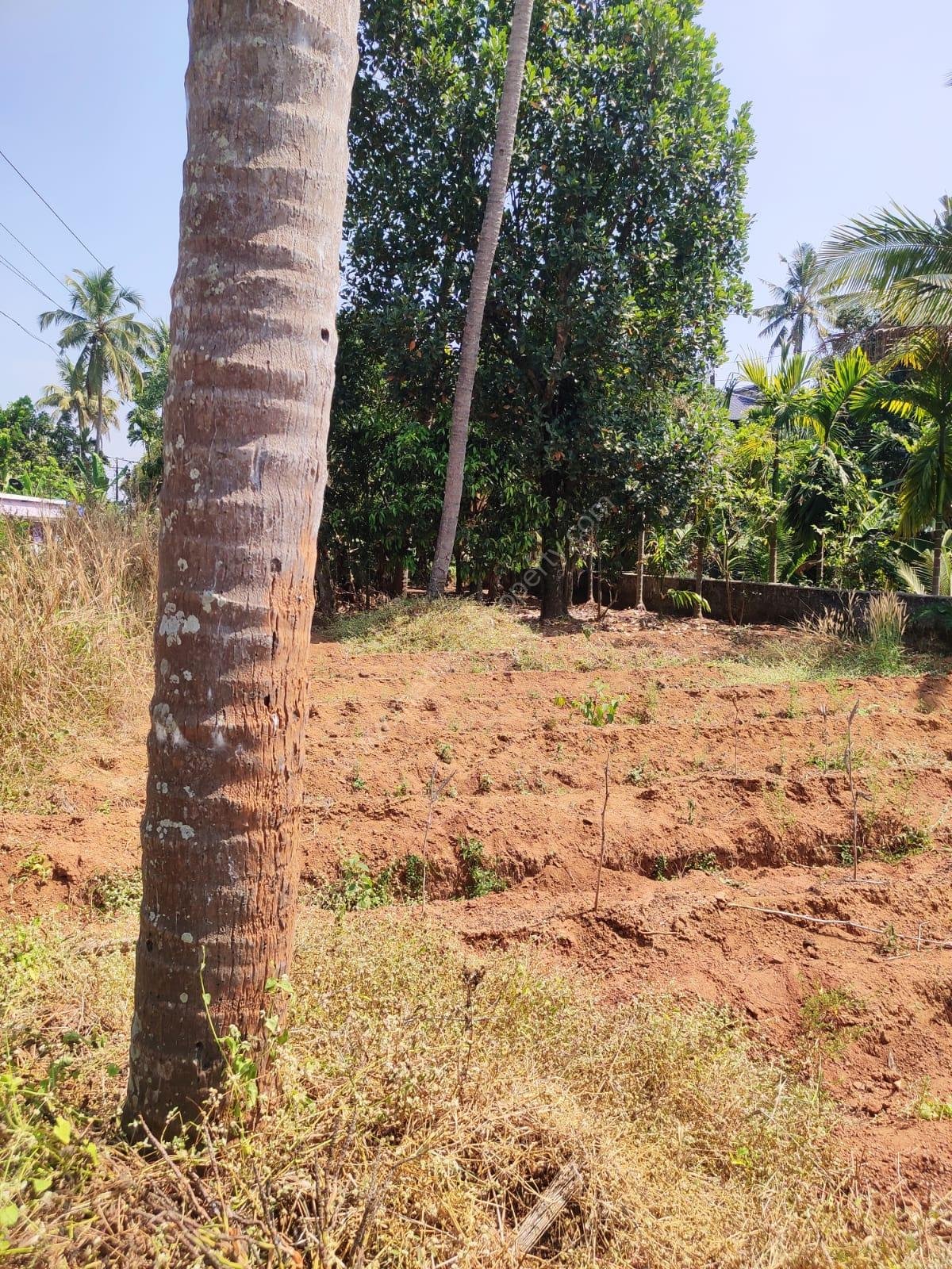 Plot for sale at Perambra
