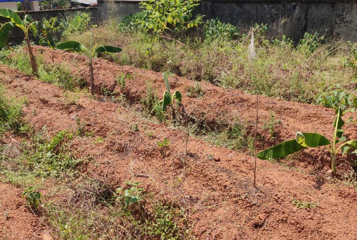 8 cent residential Land / Plot for sale at Perambra, Thrissur