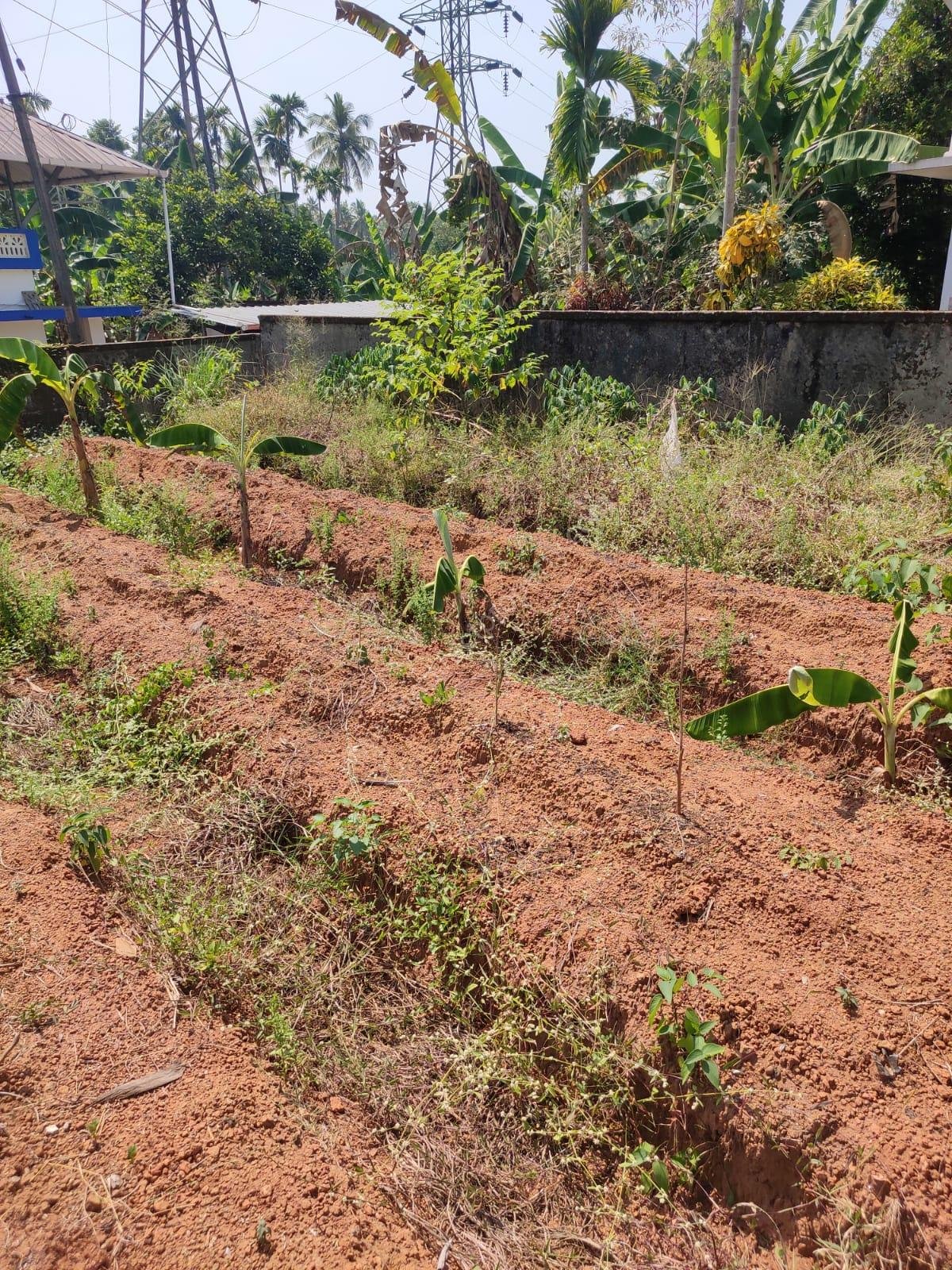 8 cent residential Land / Plot for sale at Perambra, Thrissur