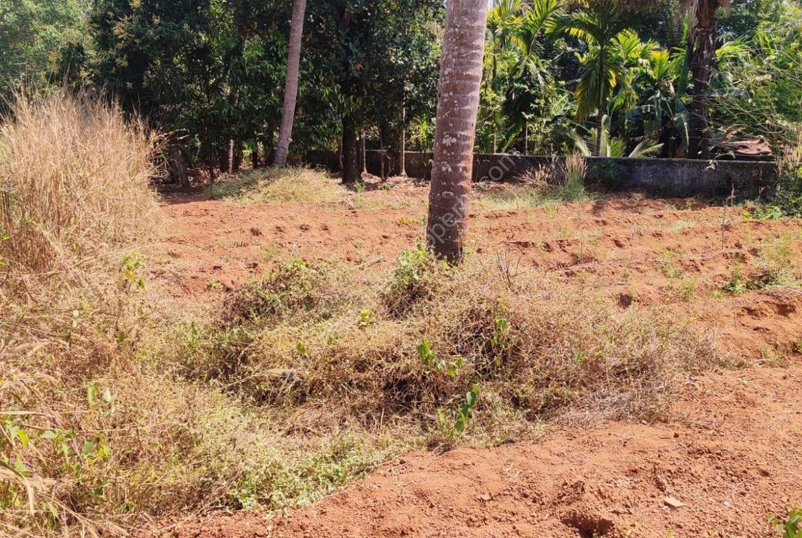 8 cent residential Land / Plot for sale at Perambra, Thrissur
