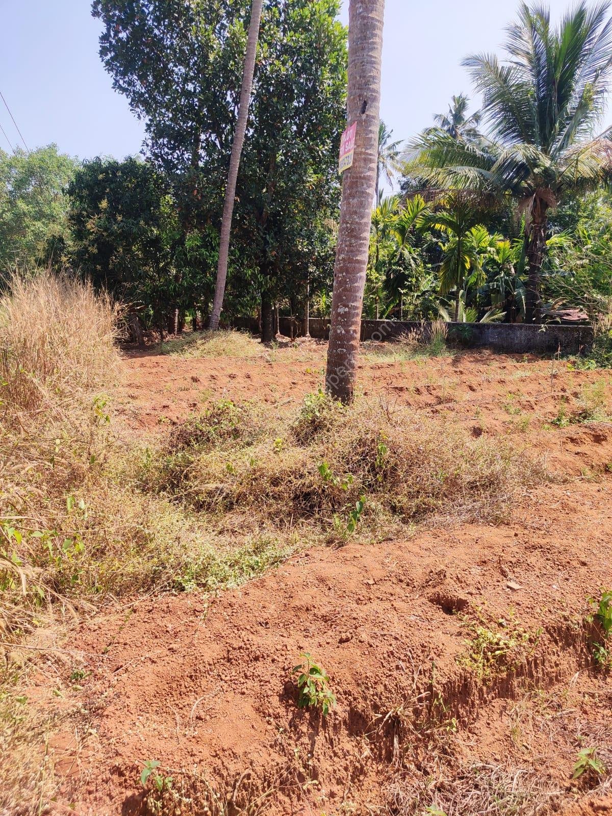 8 cent residential Land / Plot for sale at Perambra, Thrissur