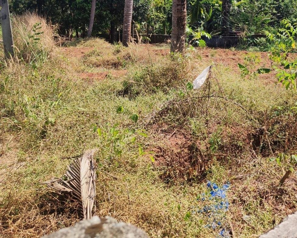 8 cent residential Land / Plot for sale at Perambra, Thrissur