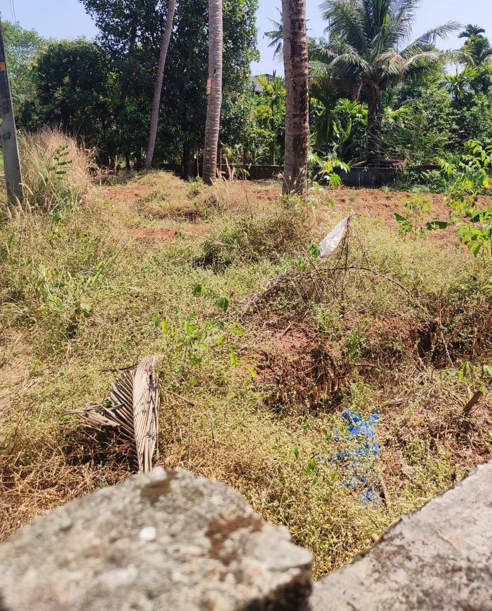8 cent residential Land / Plot for sale at Perambra, Thrissur