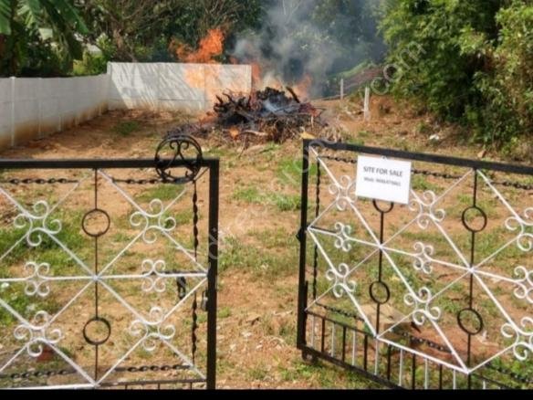 Residential plot for sale in Kuzhalmannam