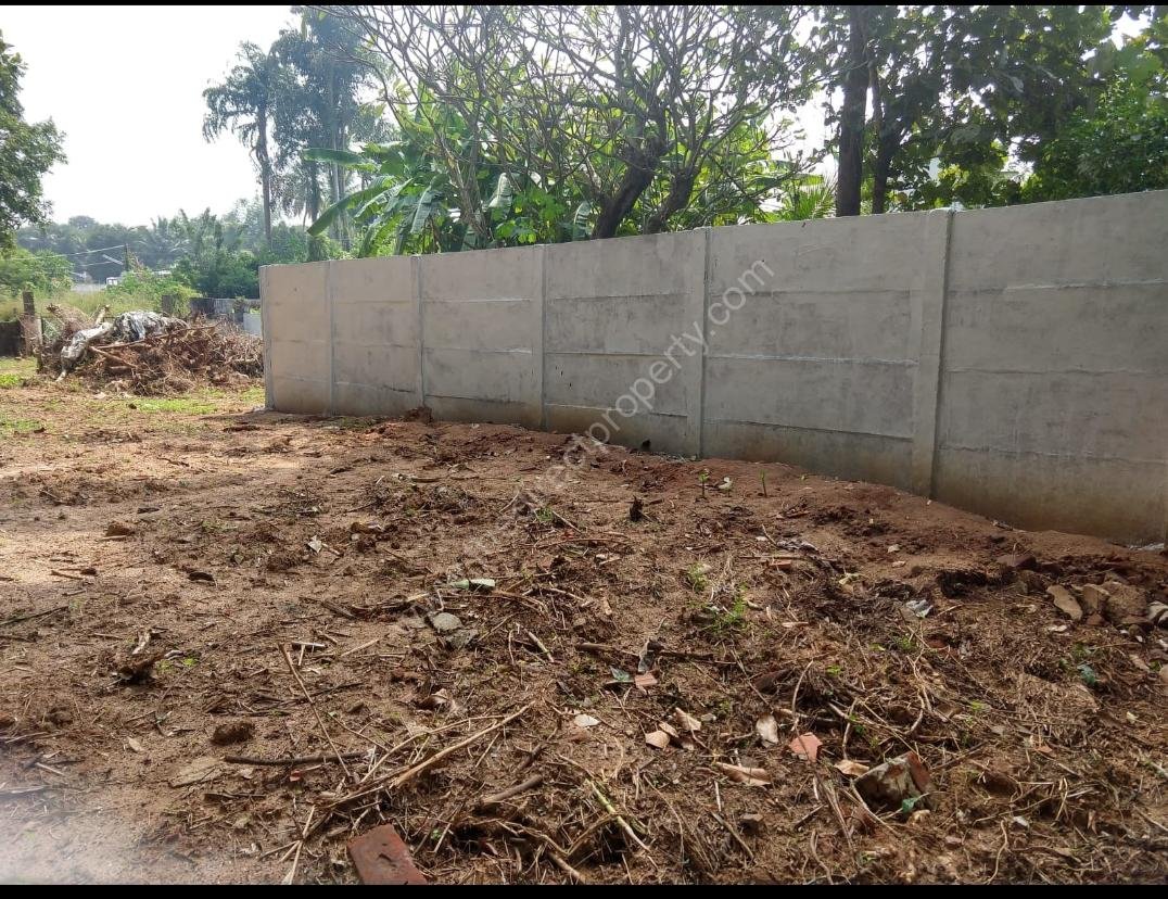 Residential plot for sale in Kuzhalmannam, Palakkad