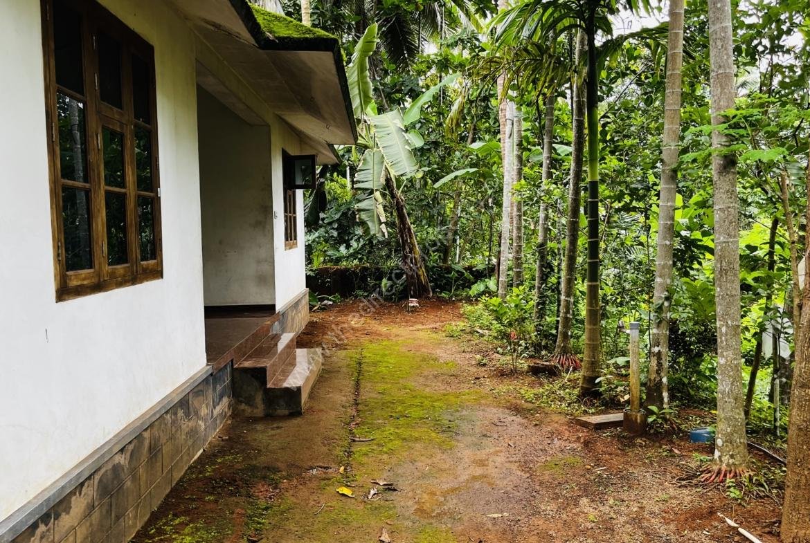House for cheap rate in Mukkam
