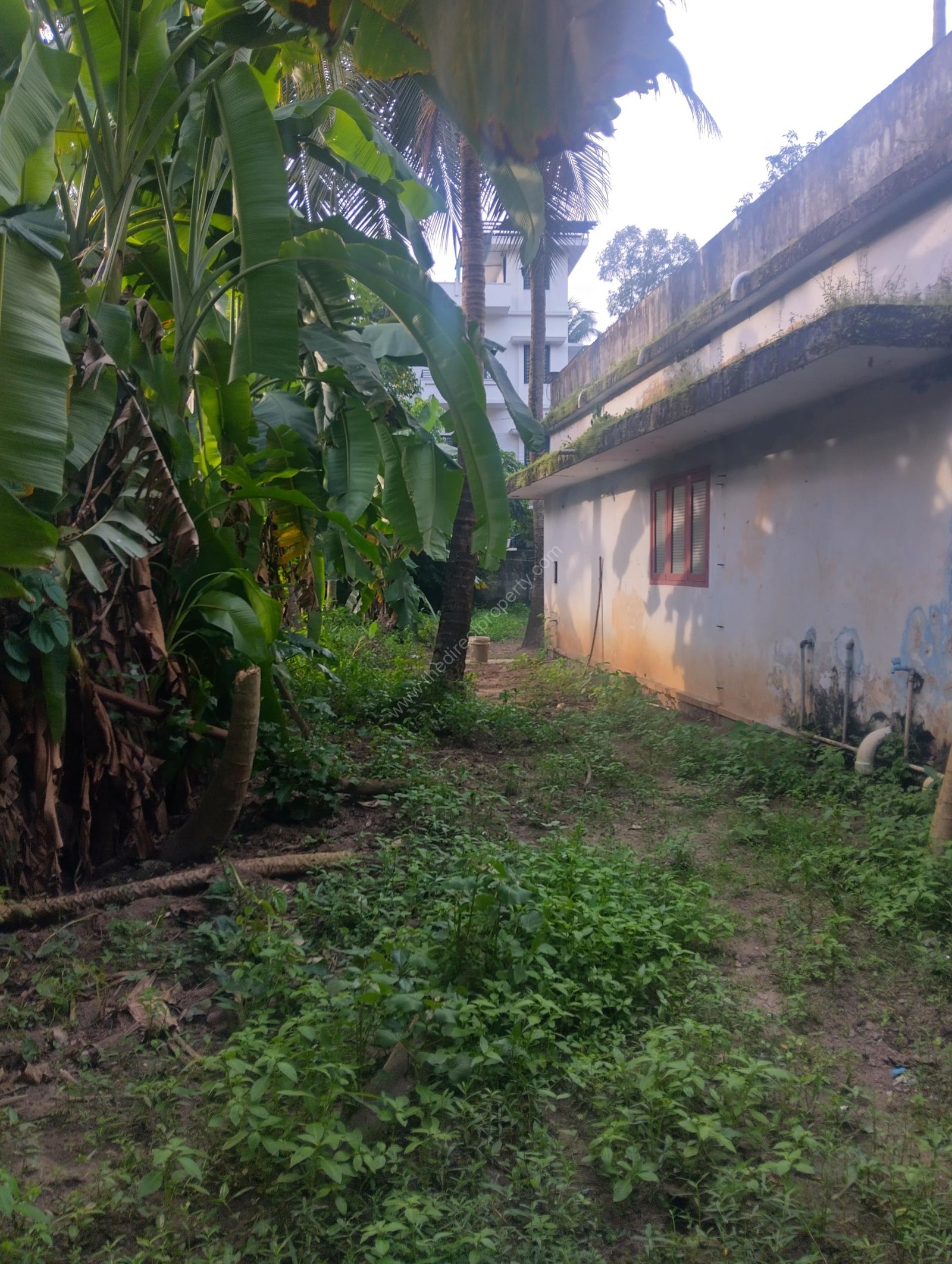 Land for sale in Tripunithura, Kochi