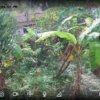 Plot for Sale in Valapu Puthuvype