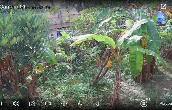 Plot for Sale in Valapu Puthuvype