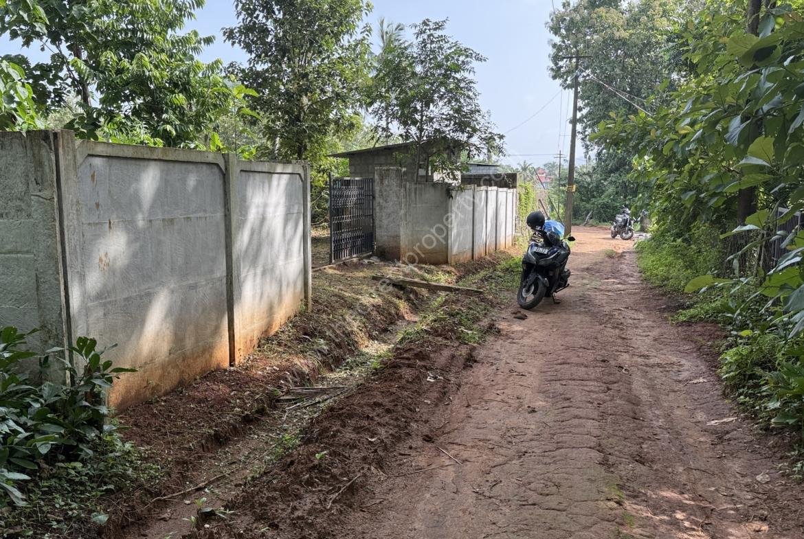 22 cents land for sale near Vaniyamkulam