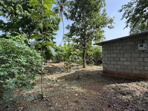 land for sale near Vaniyamkulam