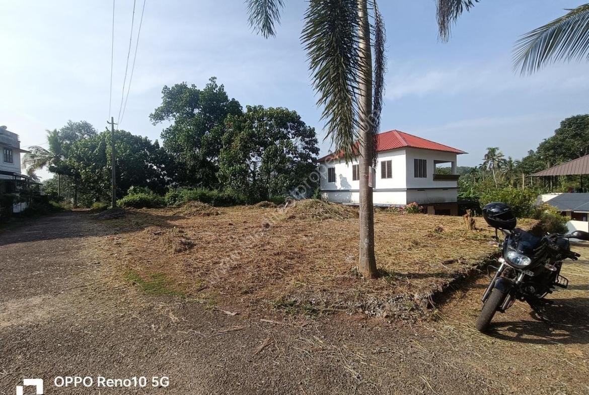 6.25 Cent Residential Plot in Mulanthuruthy (Vattakunnu)