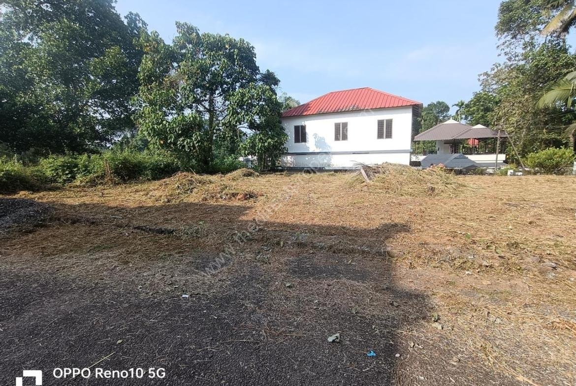 6.25 Cent Residential Plot in Mulanthuruthy (Vattakunnu)